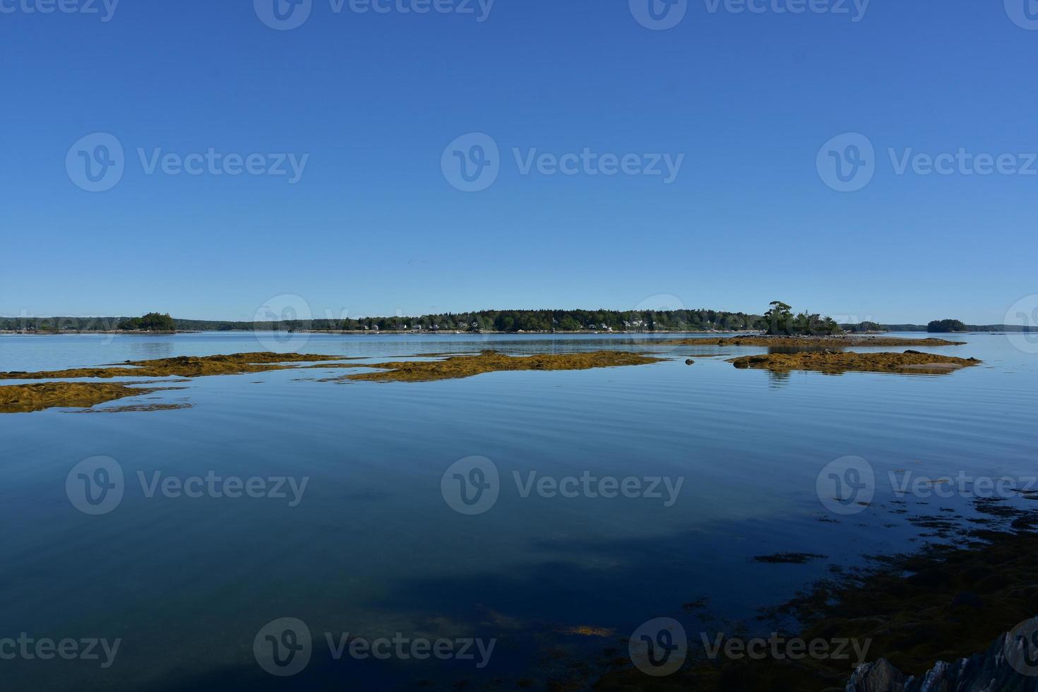 Seaweed Covered Reef with View of Little French Island photo