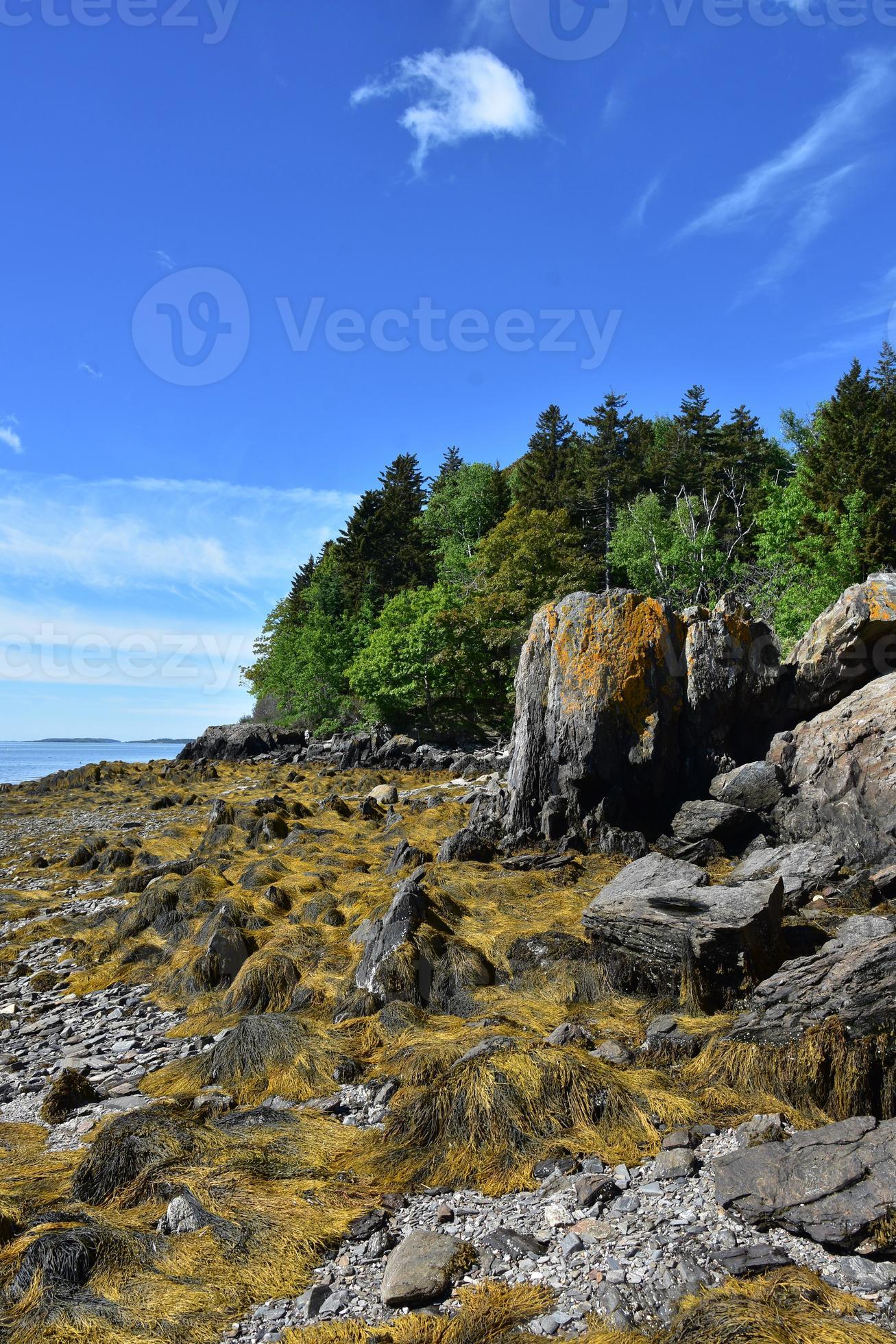 stunning-seashore-of-casco-bay-island-in-maine-12200201-stock-photo-at