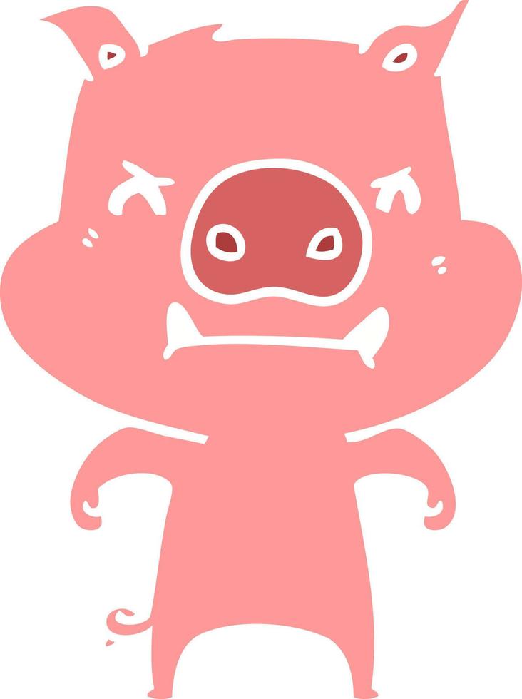 angry flat color style cartoon pig vector