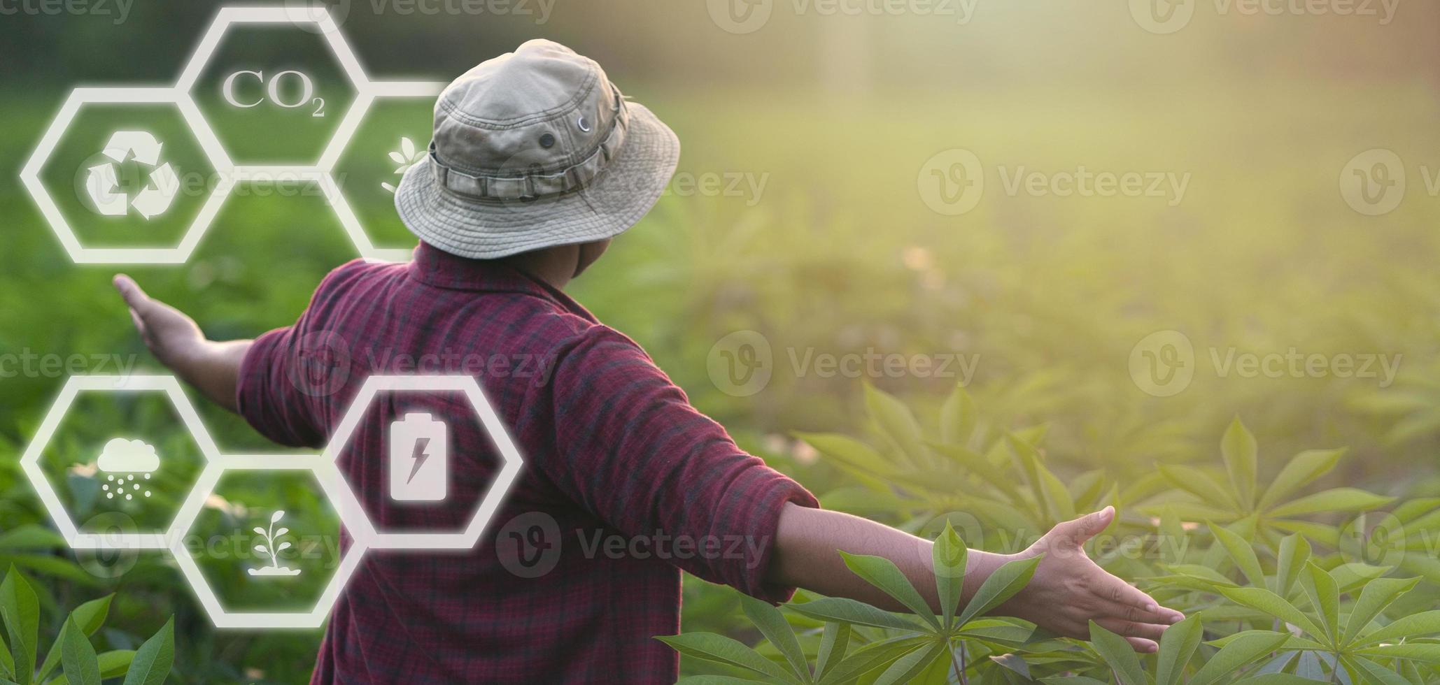 The back of the farmer is spreading his arms at his cassava plantation and glow ecology icon with empty space. Agriculture and alternative energy concepts photo