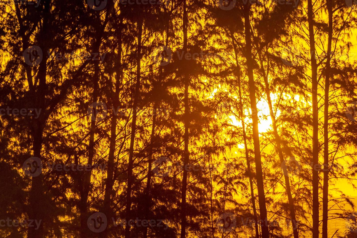 Beautiful stunning colorful and golden sunset at Phuket island Thailand. photo