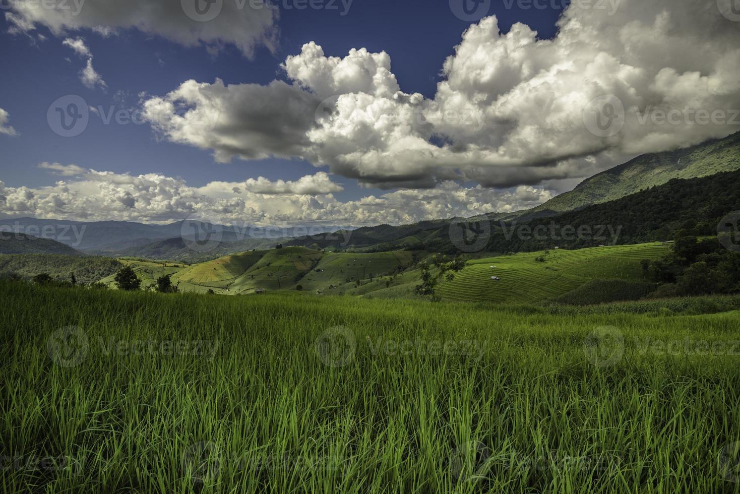 Rice fields on terraced  landscapes.blue sky photo