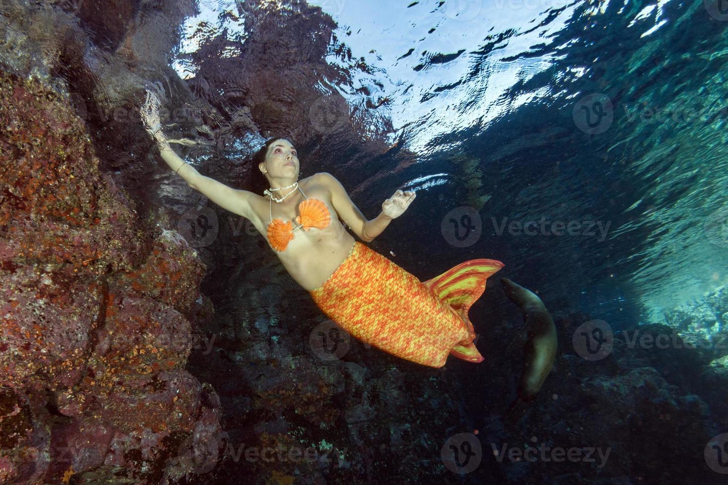 sirena nadando bajo el agua en el mar azul profundo con una foca foto