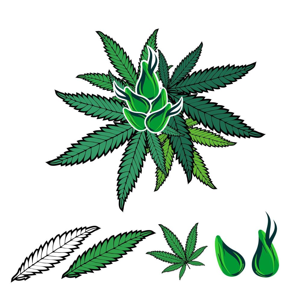 imagen vectorial de hoja y flor de marihuana vector
