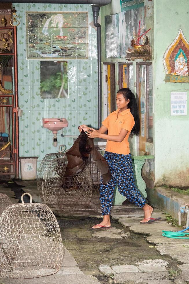 BALI, INDONESIA - AUGUST 13, 2016 - Photo with animals shop a Flying fox close up portrait