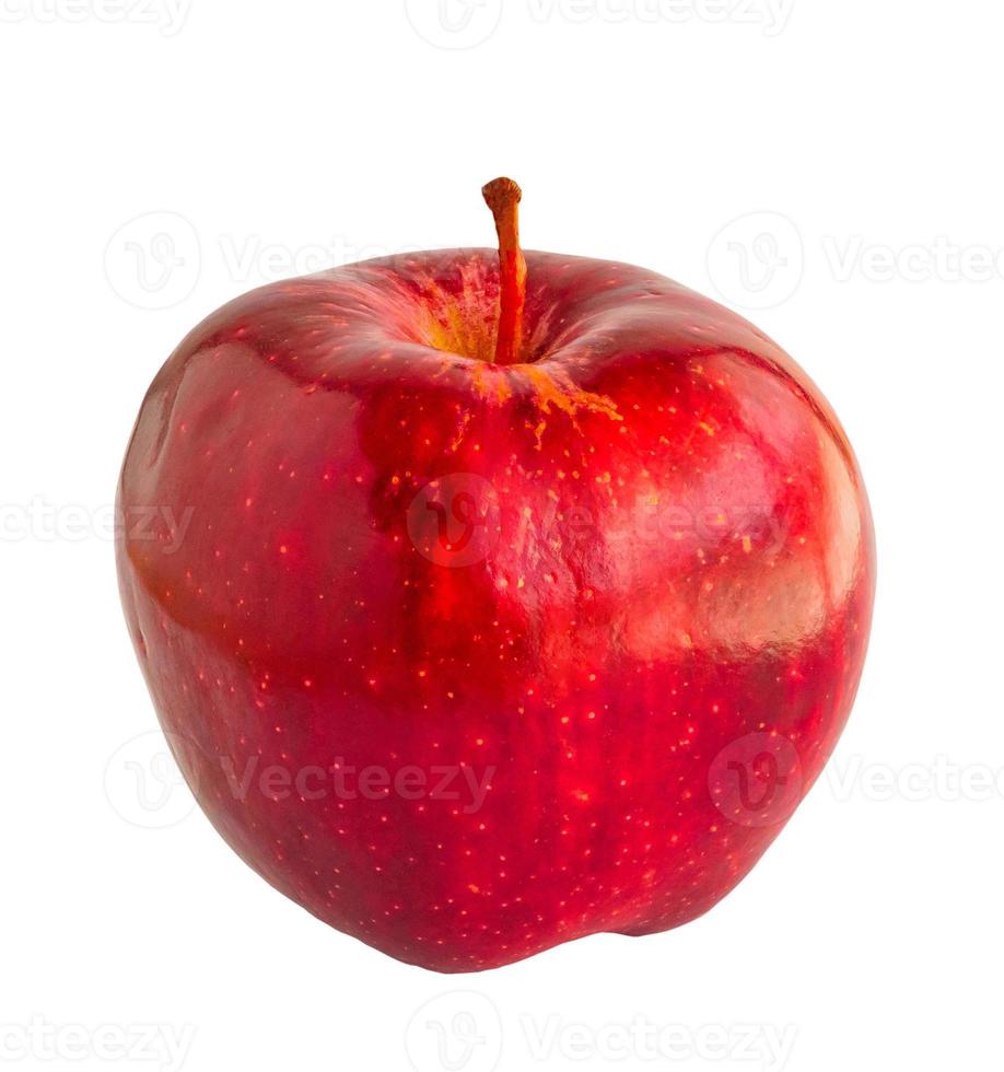 Fresh red apple isolated on white background photo