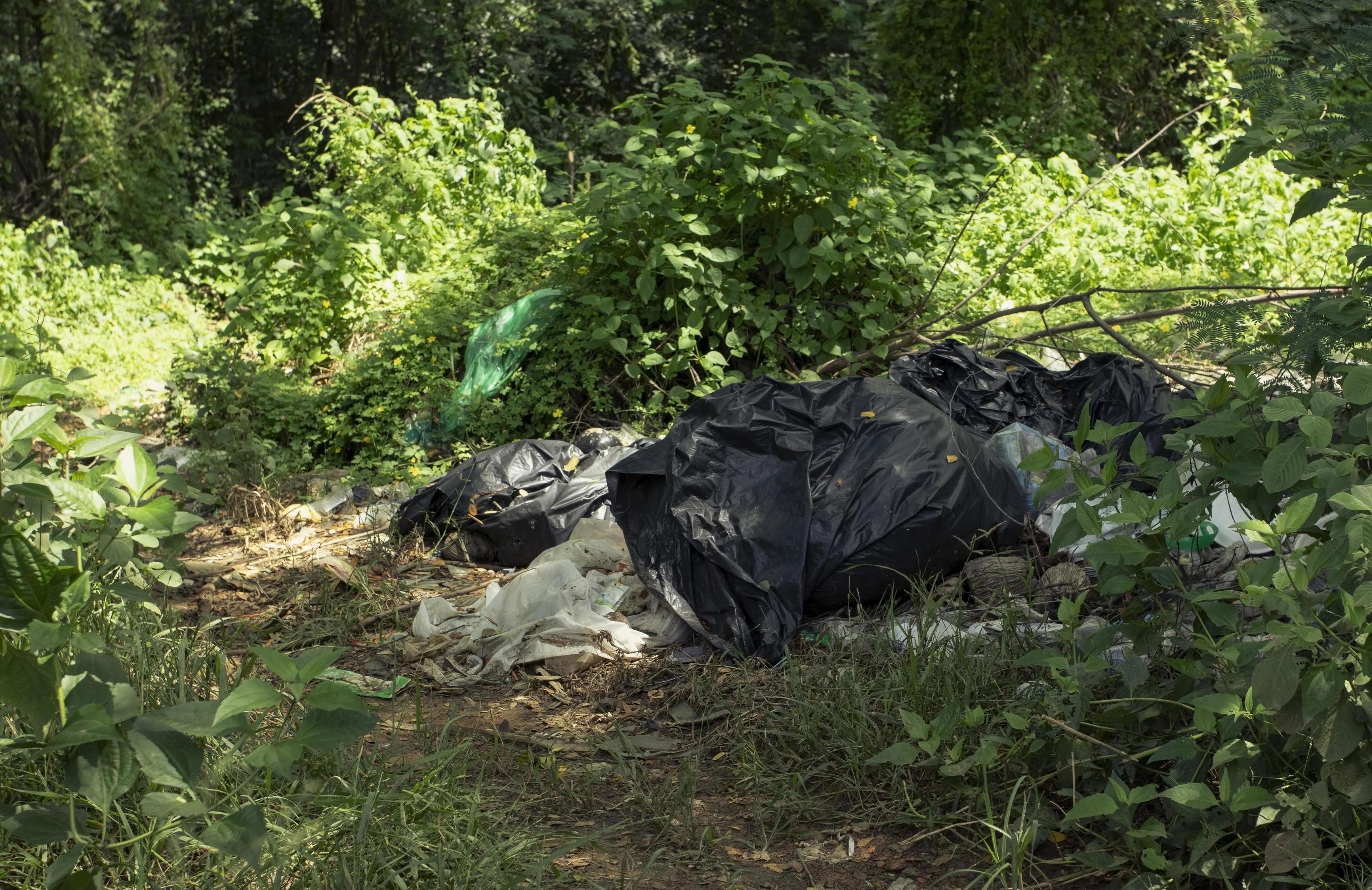 Environmental pollution. Garbage in a forest. People illegally throw