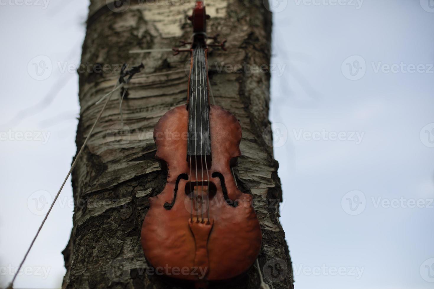 Violin on wood. Stringed musical instrument. Details of music festival. photo