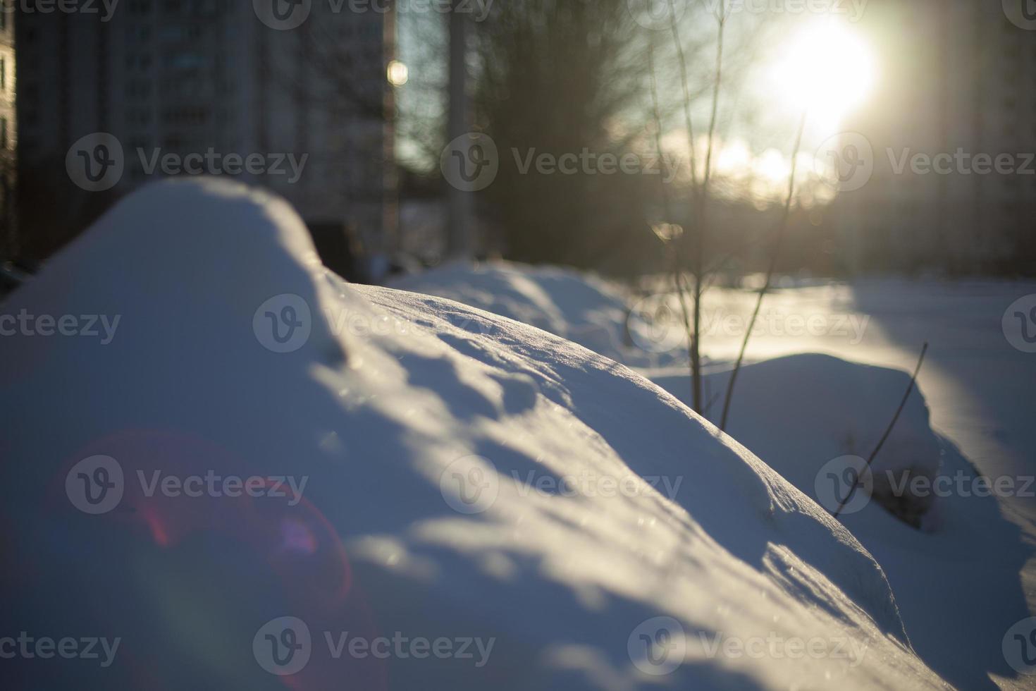 Details of park in winter. Cold winter light on surface of snow. photo