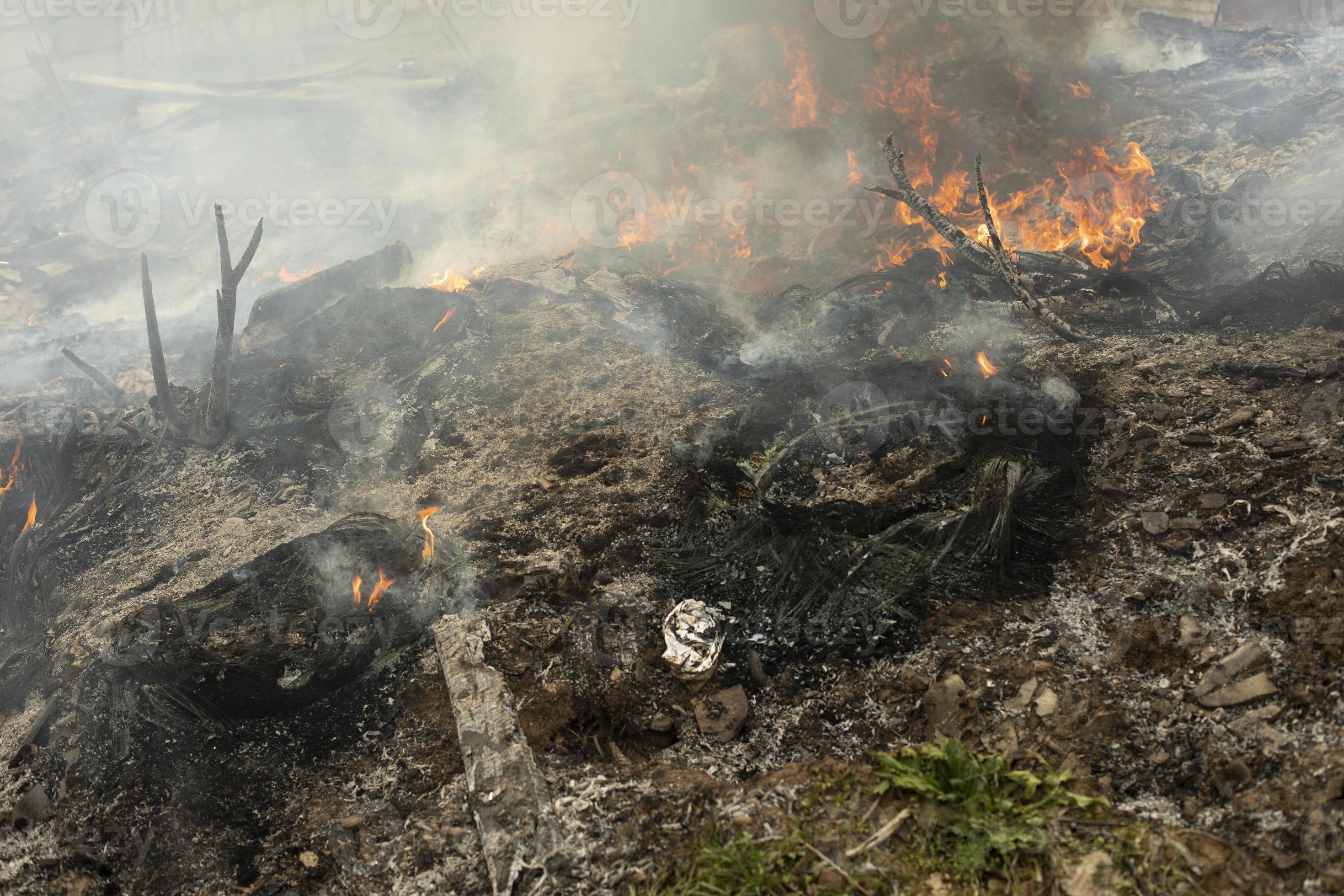 Burning of garbage. Set fire to illegal landfill. Flames and smoke