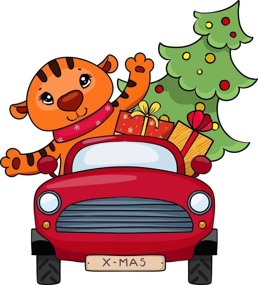 A cute little tiger drives a red car and carries a Christmas tree with gifts. New Year clipart. vector