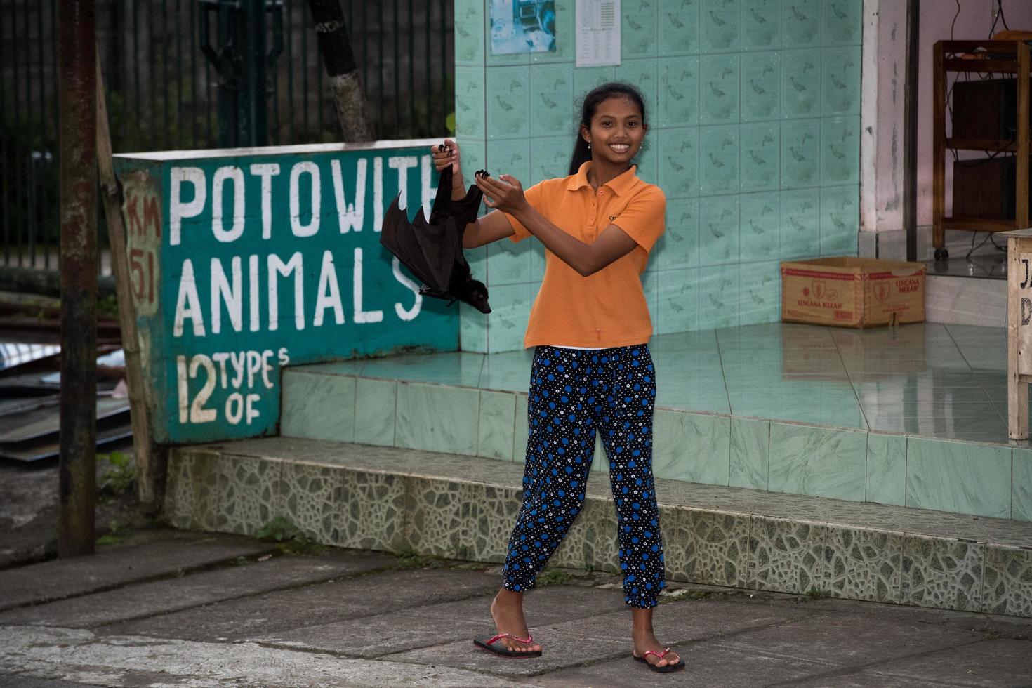 BALI, INDONESIA - AUGUST 13, 2016 - Photo with animals shop a Flying fox close up portrait