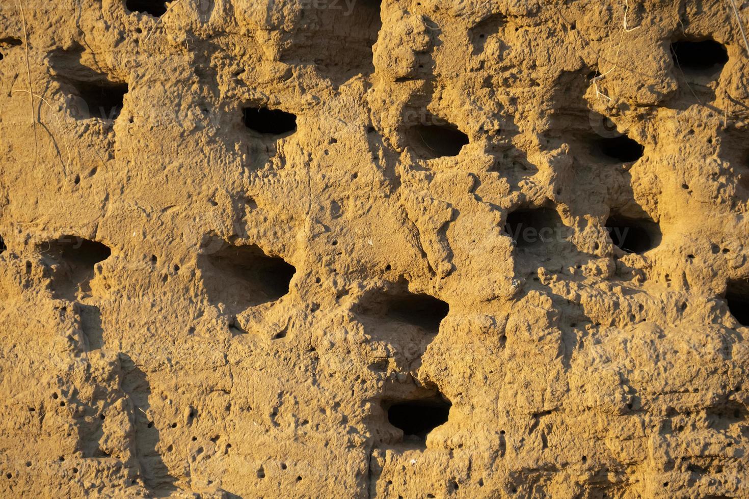 Swallows' nests in the sheer mountain photo