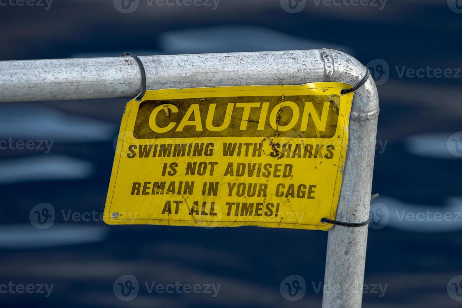 caution swiimming with sharks yellow sign photo