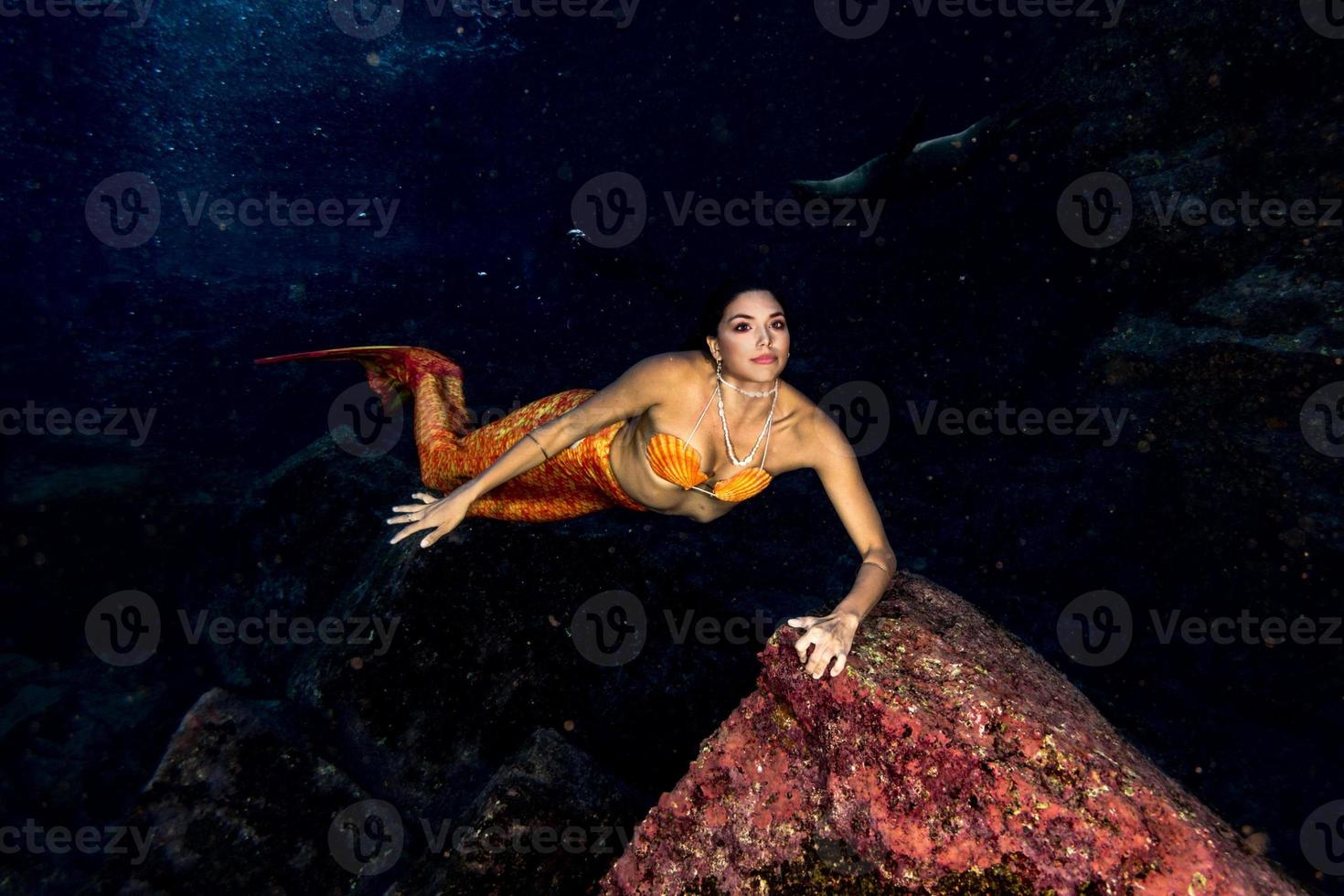 Mermaid swimming underwater in the deep blue sea photo