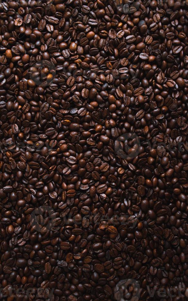 beans of coffee brown photo
