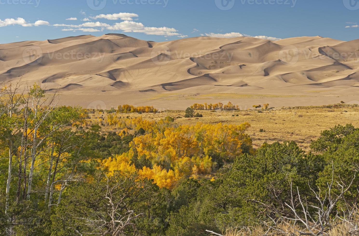 las grandes dunas de arena que se elevan sobre el bosque de otoño foto