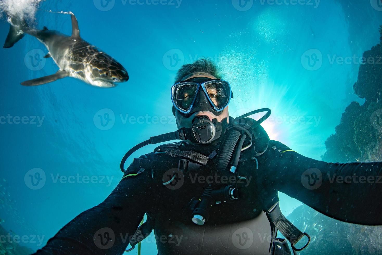 selfie bajo el agua con un gran tiburón blanco listo para atacar foto