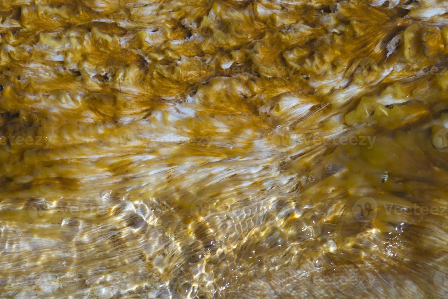 yellowstone hot springs natural background photo