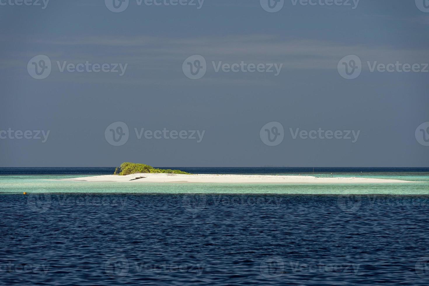 maldives tropical paradise beach crystal water coconut tree island photo