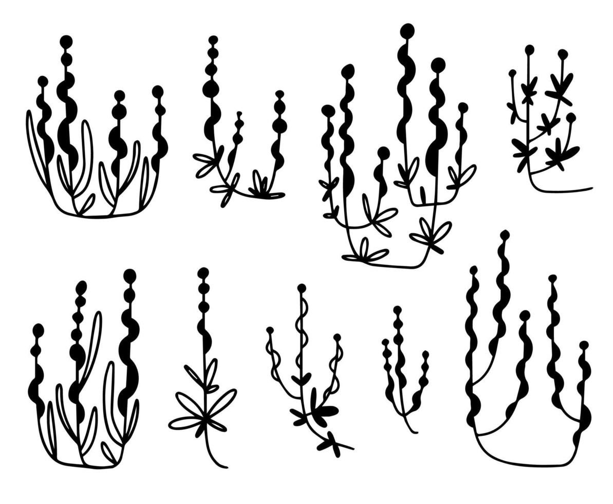 Collection of fantasy artistic foliage, natural leaves, herbs in linear style. Decorative elegant illustration of flowers in uniform style. vector