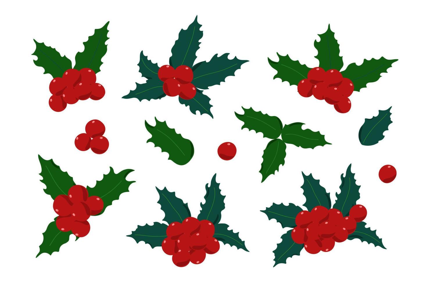Holly plant set, red berries, leaves traditional winter holidays vector illustration, Christmas 