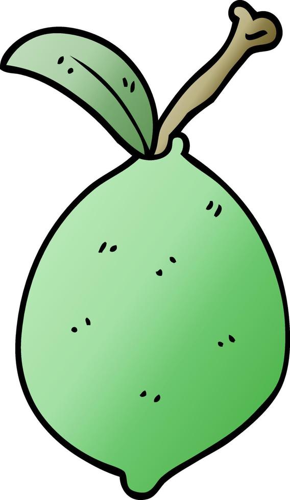 cartoon doodle lime fruit vector