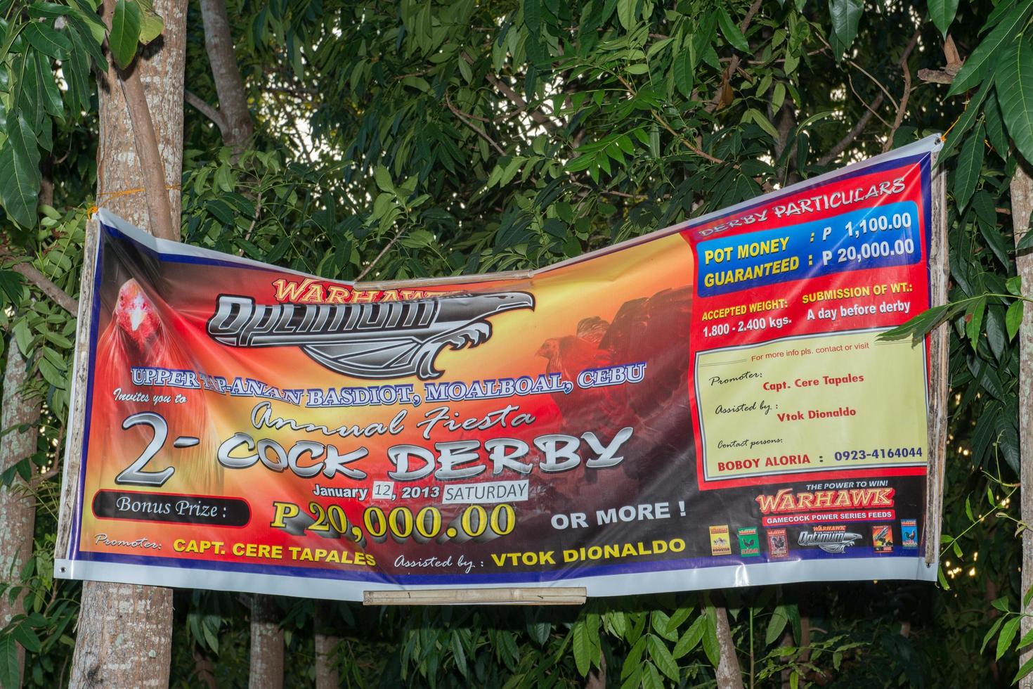 MOALBOAL - PHILIPPINES - DECEMBER 29, 2012 - Annual Cock derby fight photo