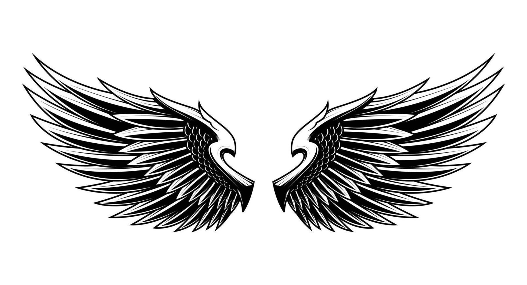 Set of Angel Wings Vector Illustration Design