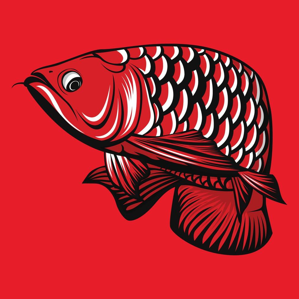 ilustración de vector de pez arowana rojo