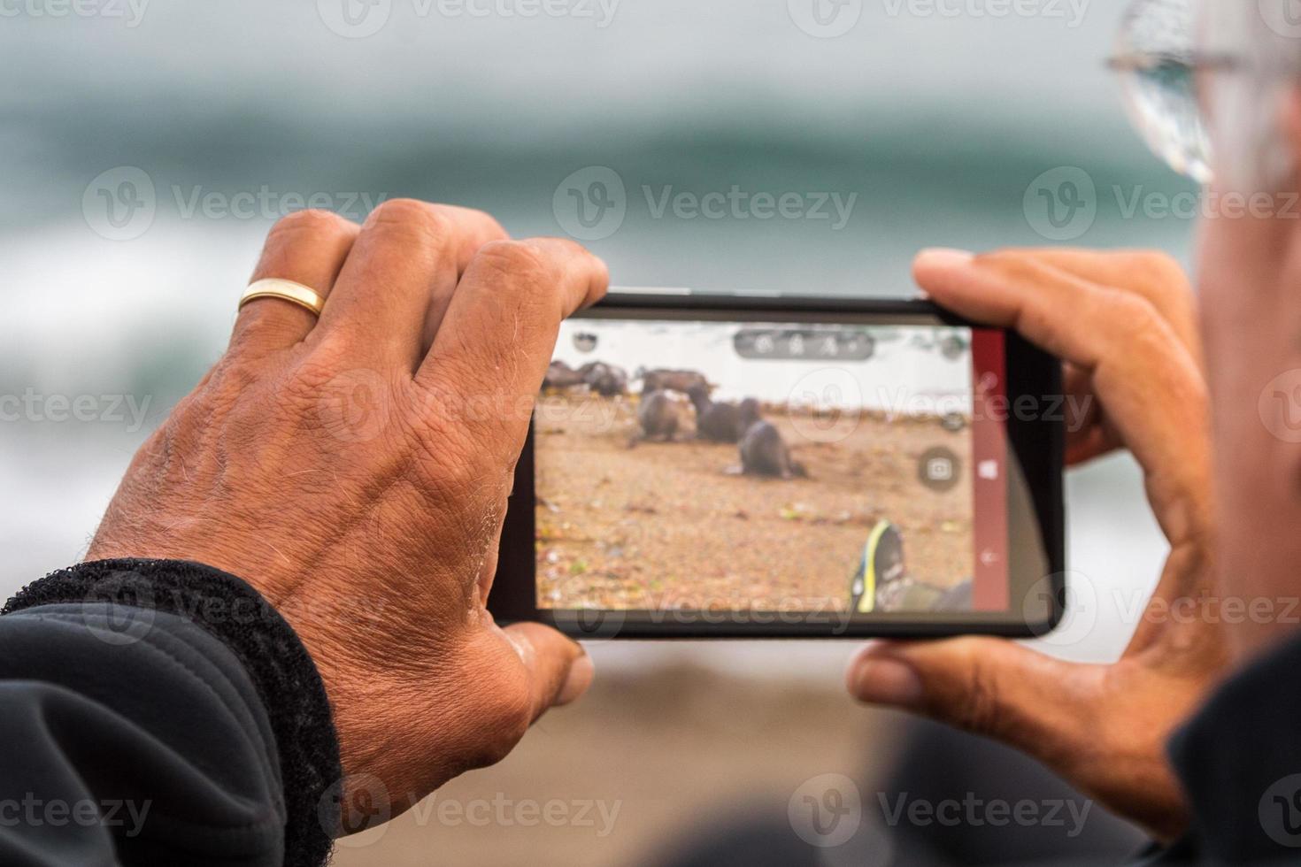 photographer taking picture of sea lion photo