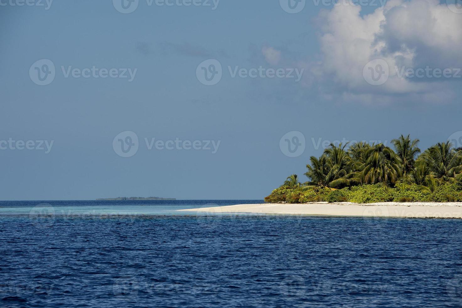 maldives tropical paradise beach crystal water coconut tree island photo