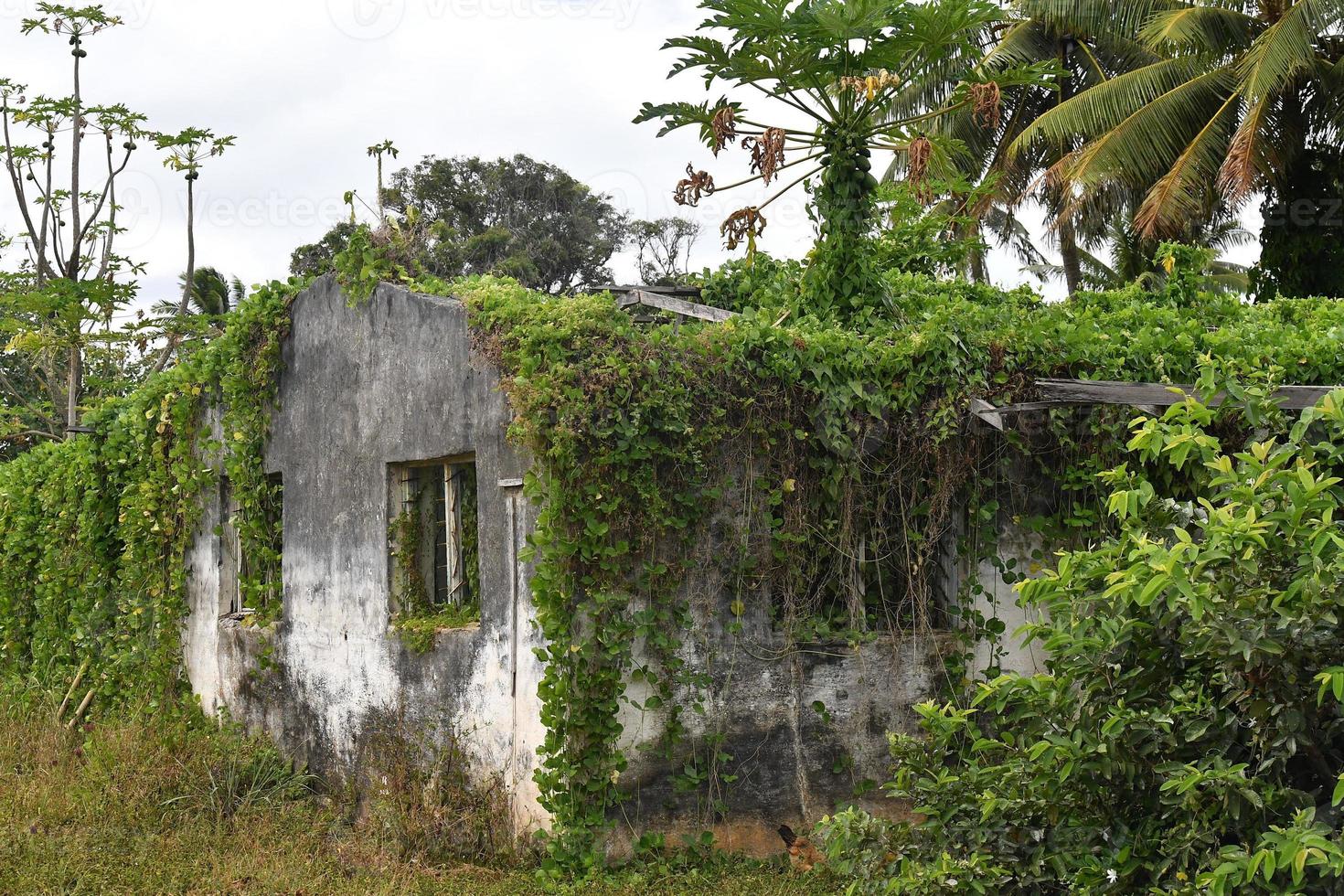 Polynesia cook island bungalow house photo