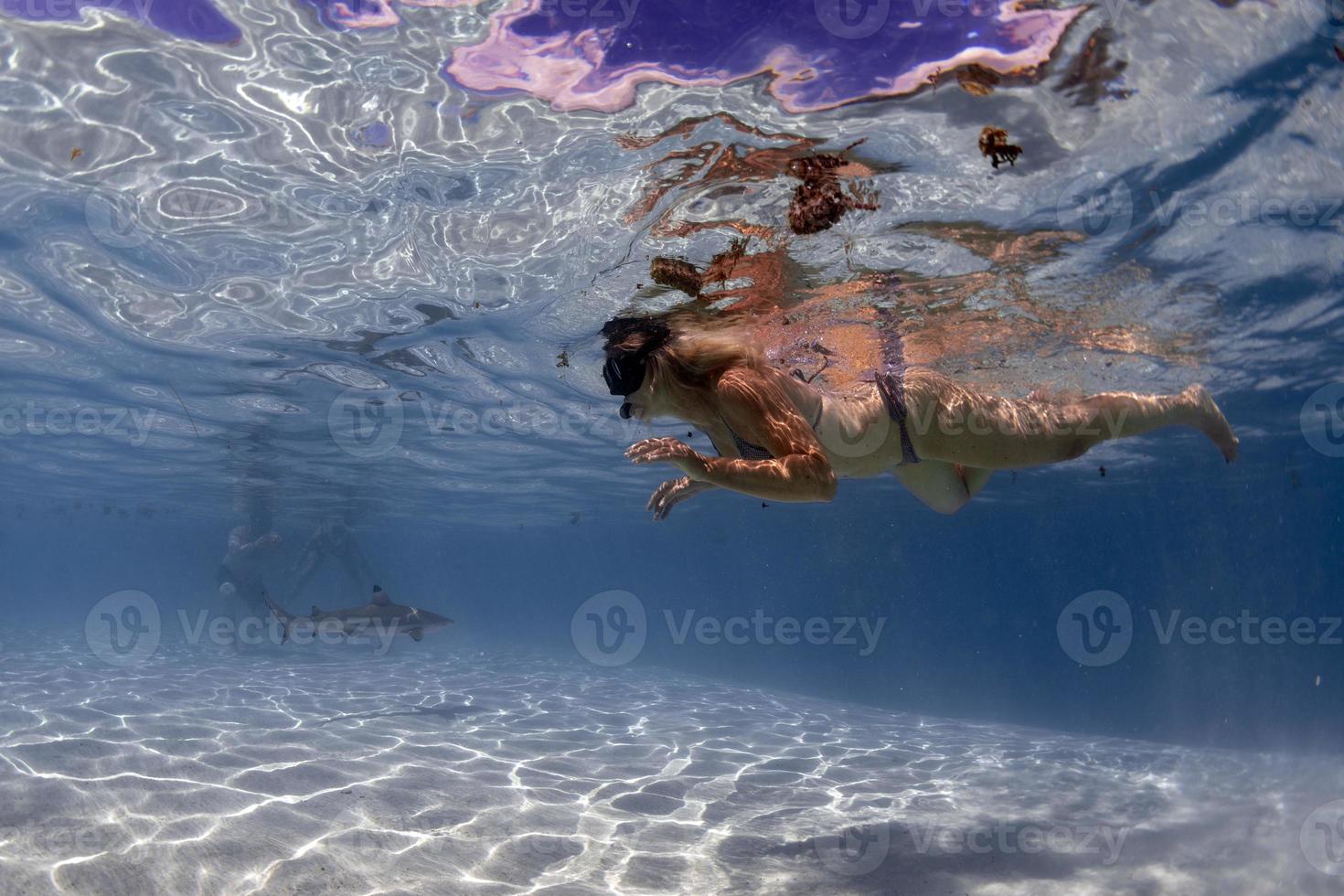 snorkeling in french polynesia with stingray photo