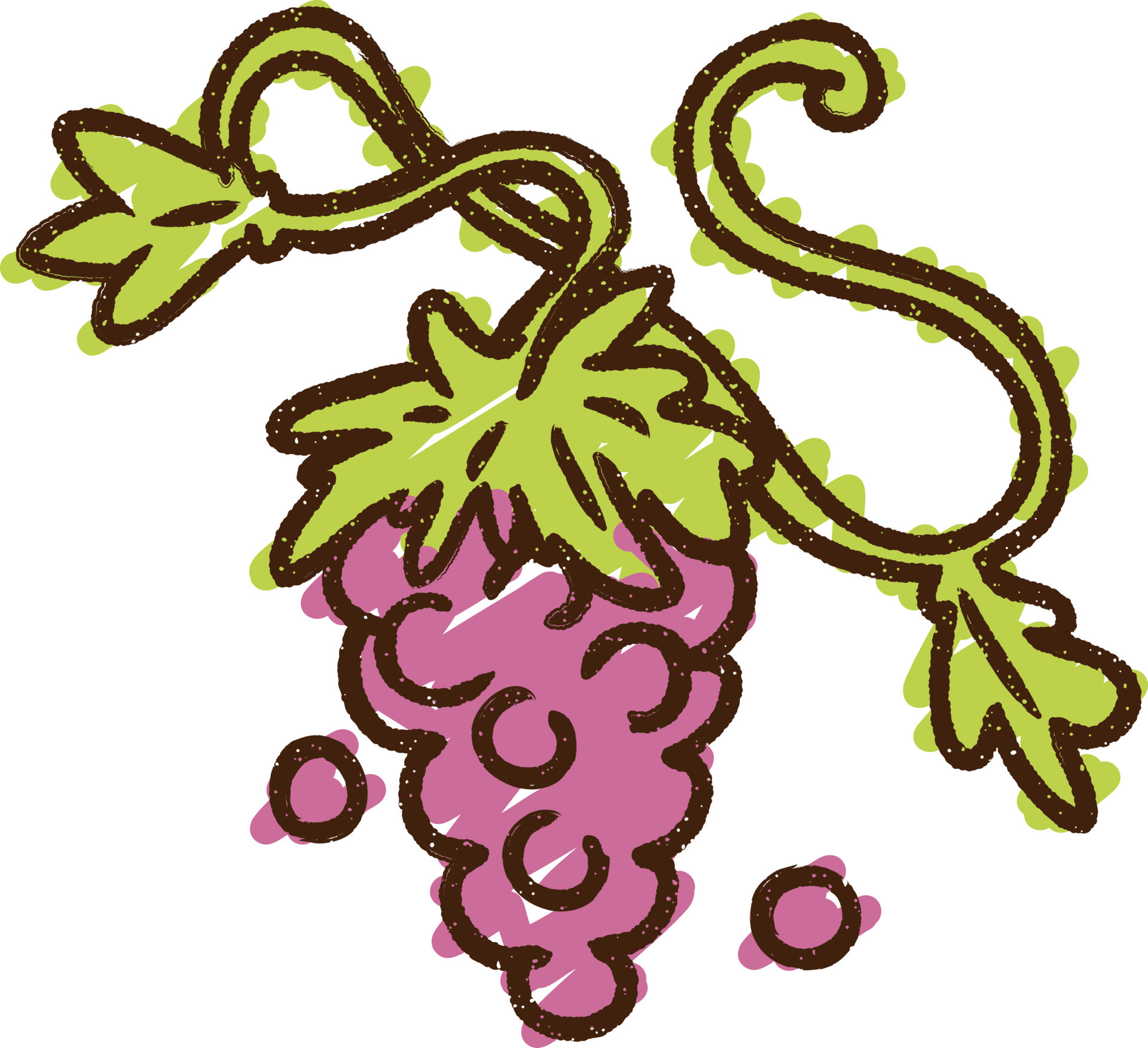 Grape Vine Chalk Drawing 12213207 Vector Art at Vecteezy