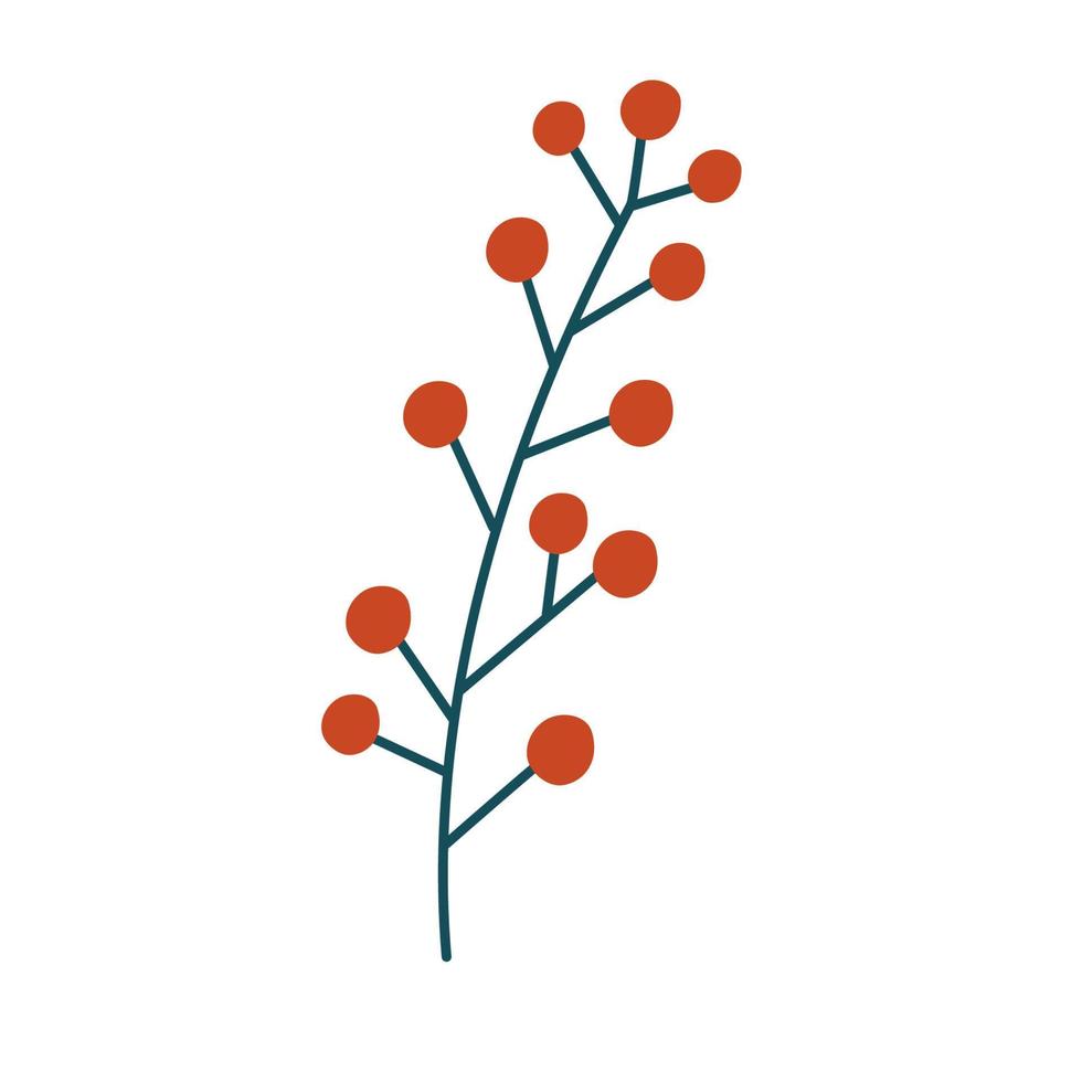 Spruce twig, berries and cones. Winter plants. Christmas foliage twigs branches red berries. Pine, spruce, fir tree branches and cones, rowan, rosehip berries. Nature botanical elements. Vector