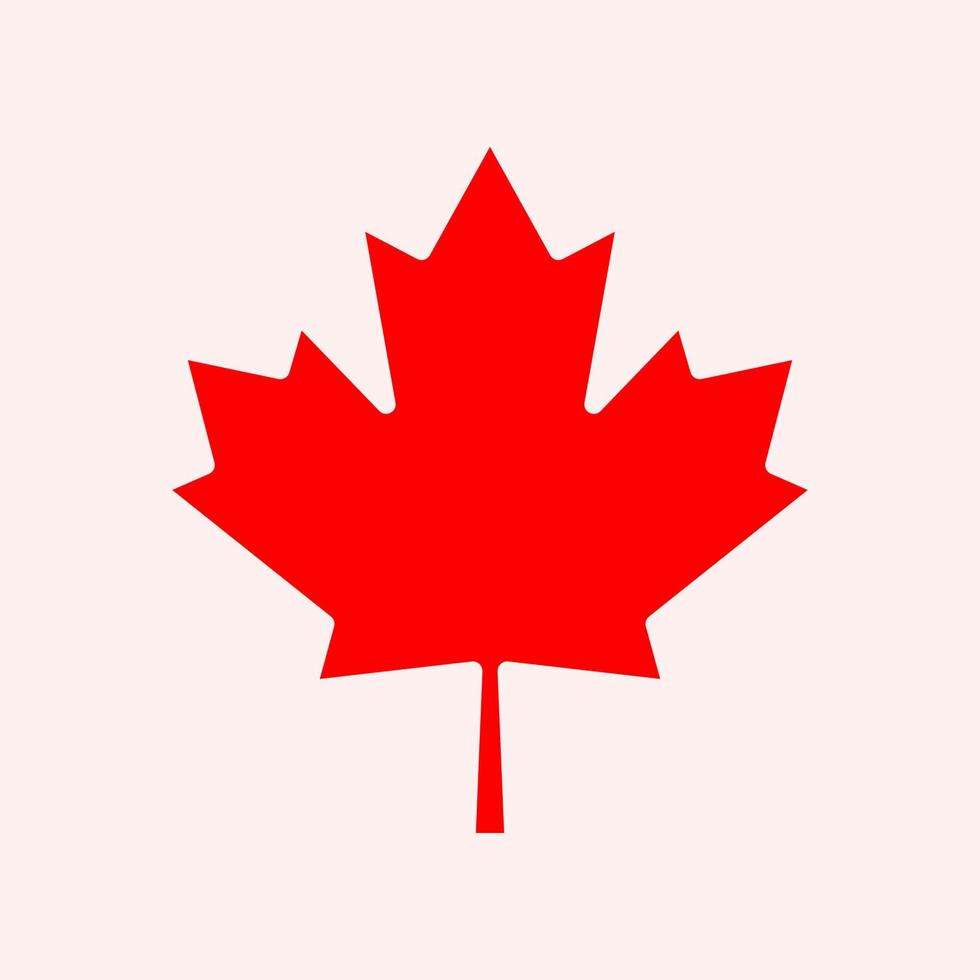 Maple leaf vector icon