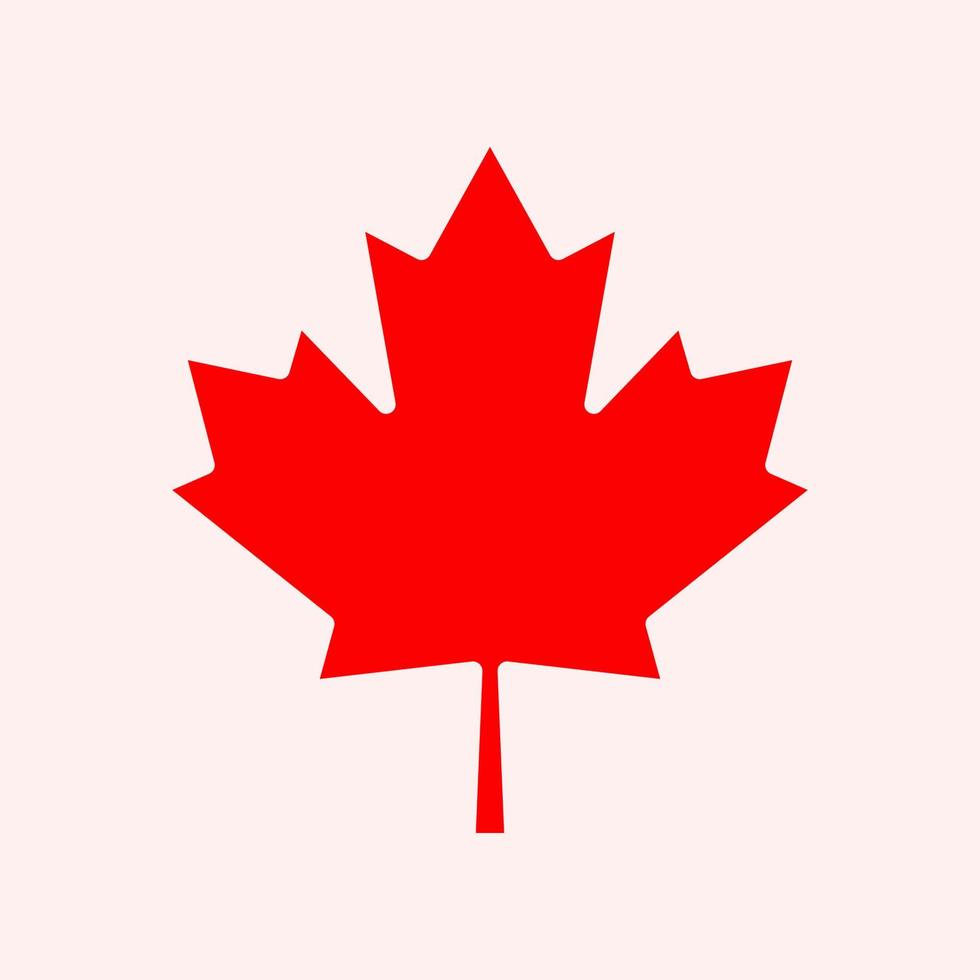 Maple leaf vector icon