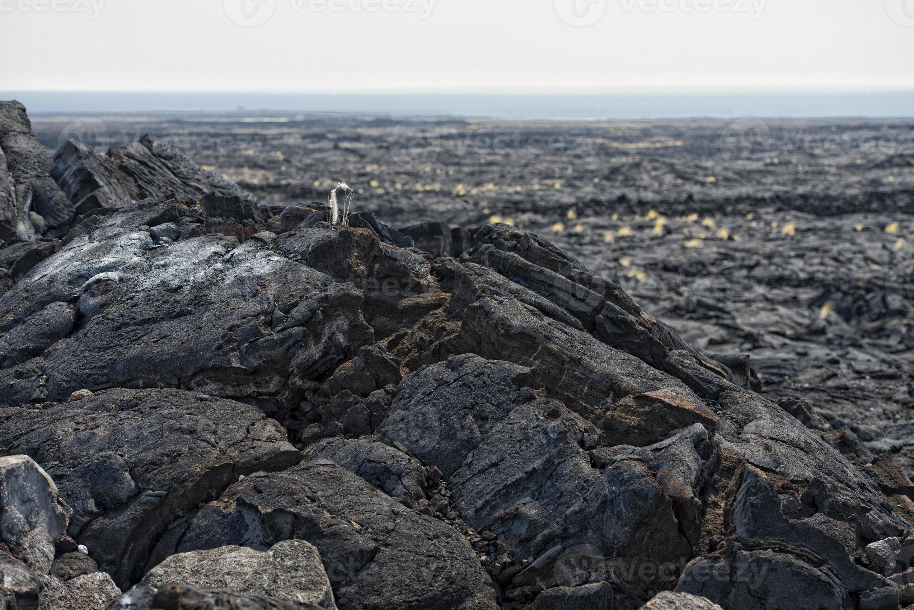 big island lava fields 12214166 Stock Photo at Vecteezy