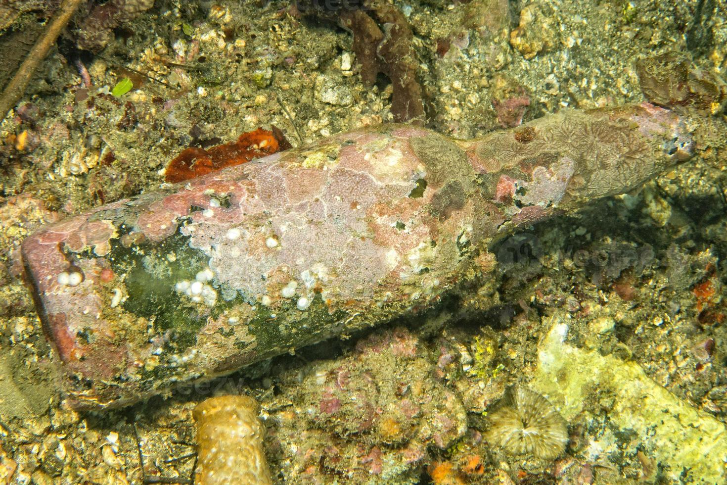 encrusted bottle on the sand bottom of the ocean photo