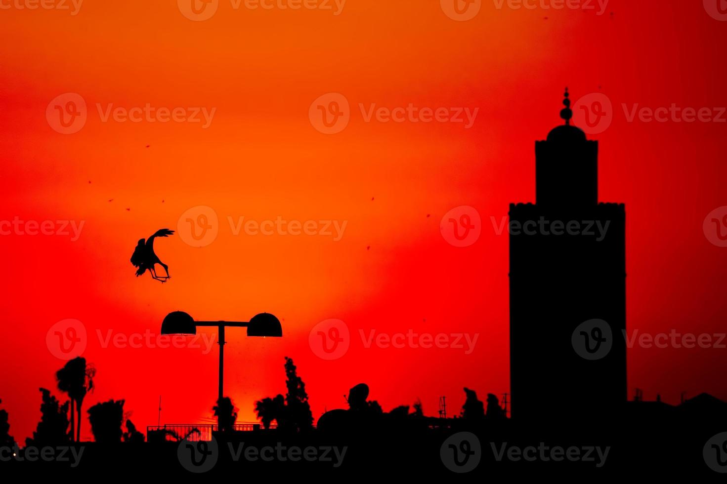 Maroc Marrakech sunset view with a stork silhouette photo