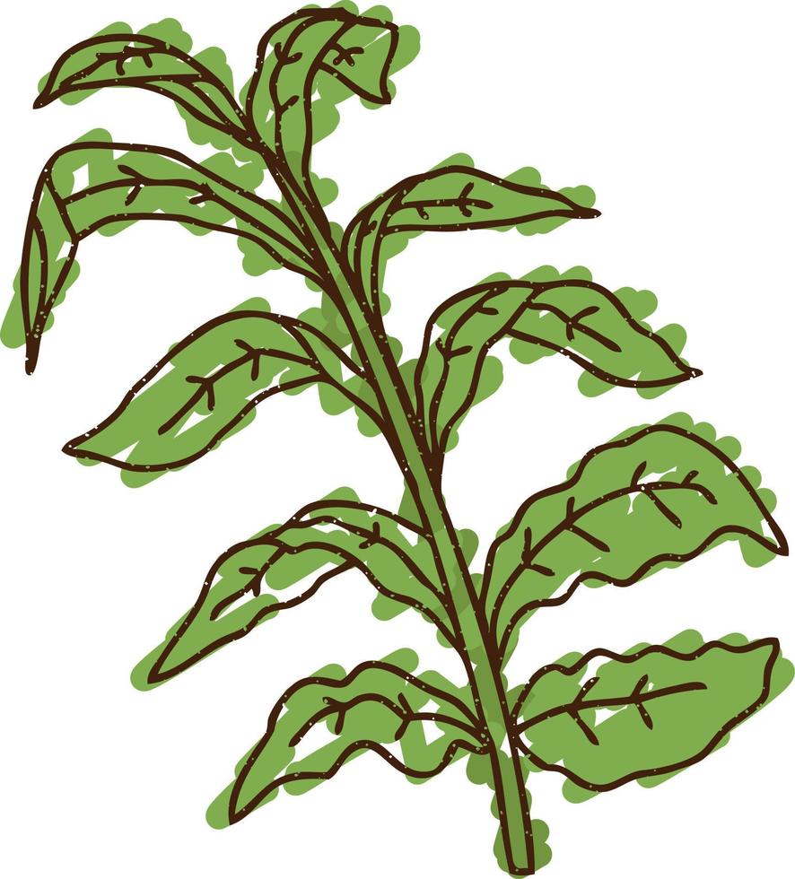 dibujo de tiza de plantas silvestres vector