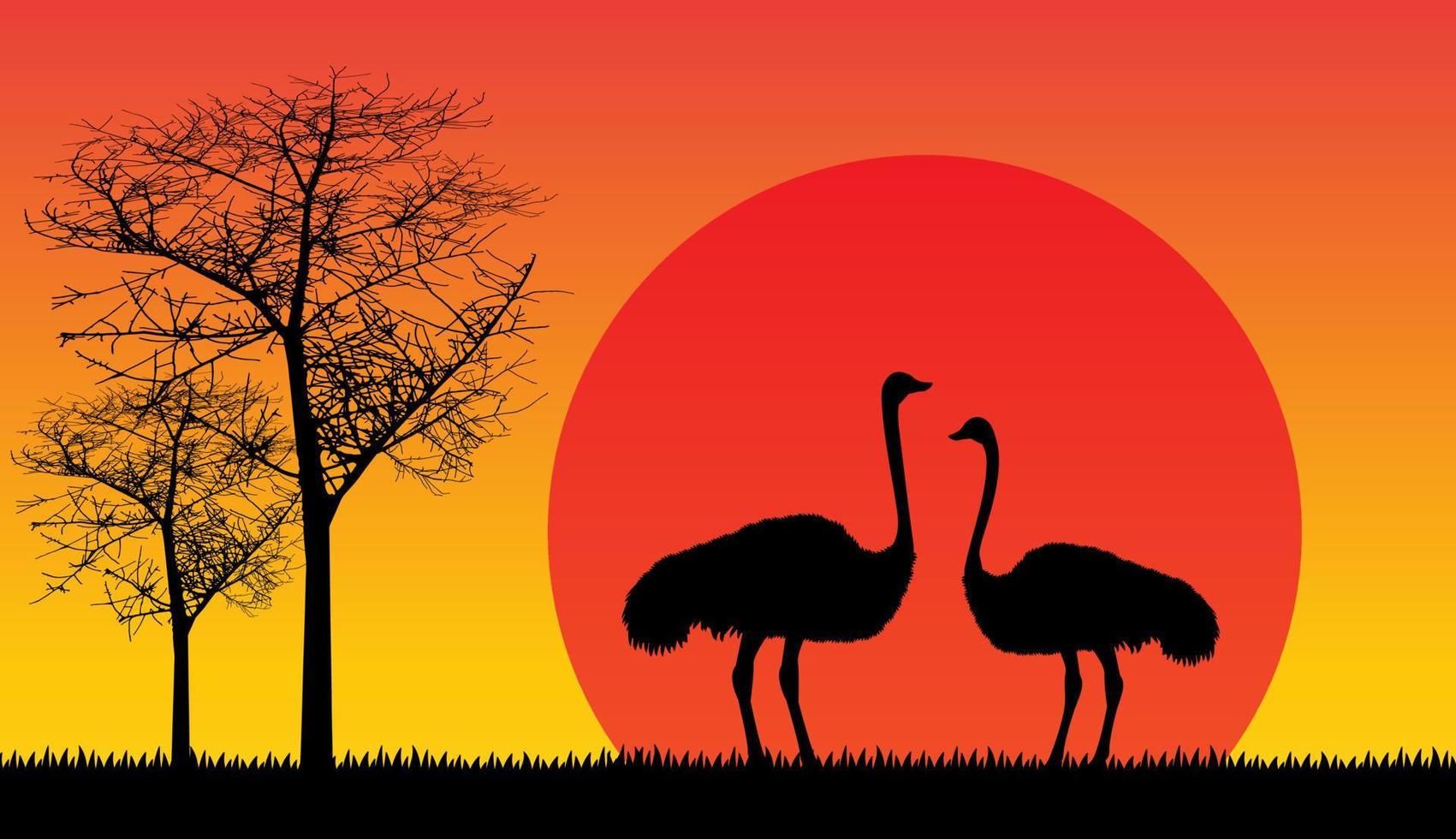 Ostriches Silhouette on the Sunset vector