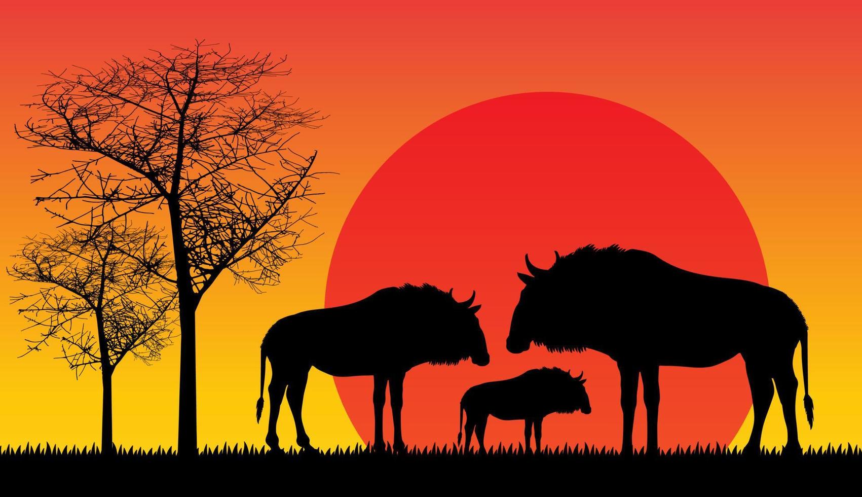 Bison Silhouette on the Sunset vector