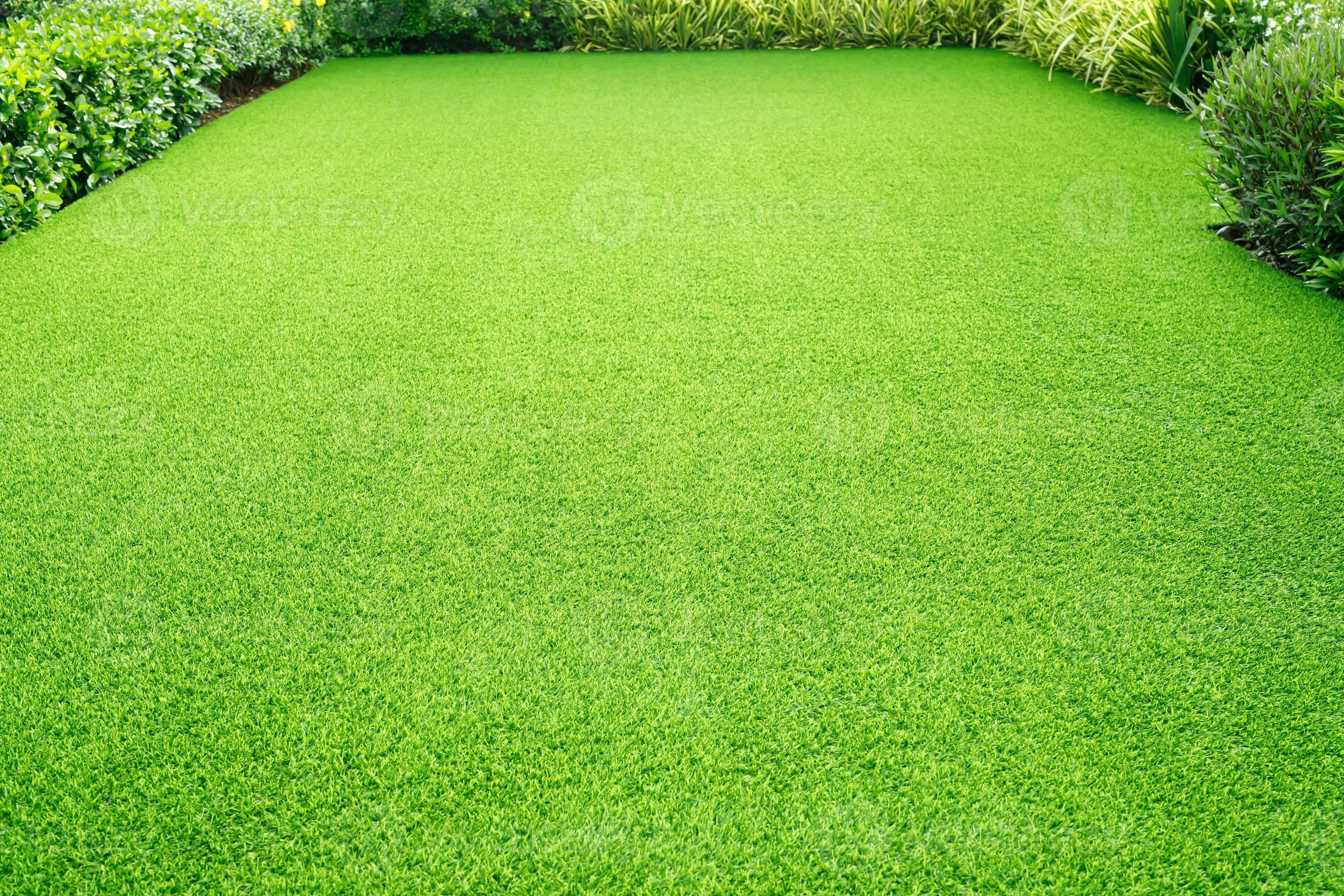 Green grass texture background Top view of bright grass garden Idea