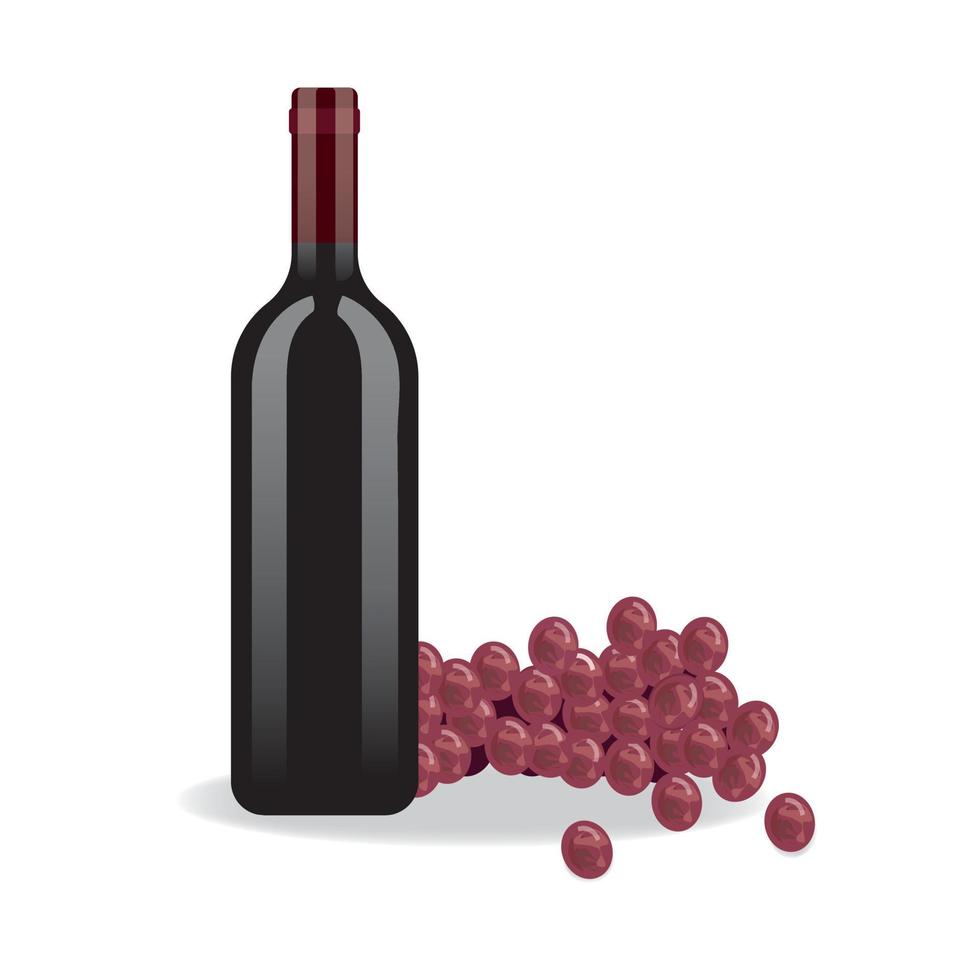 Bottle of Wine red vector