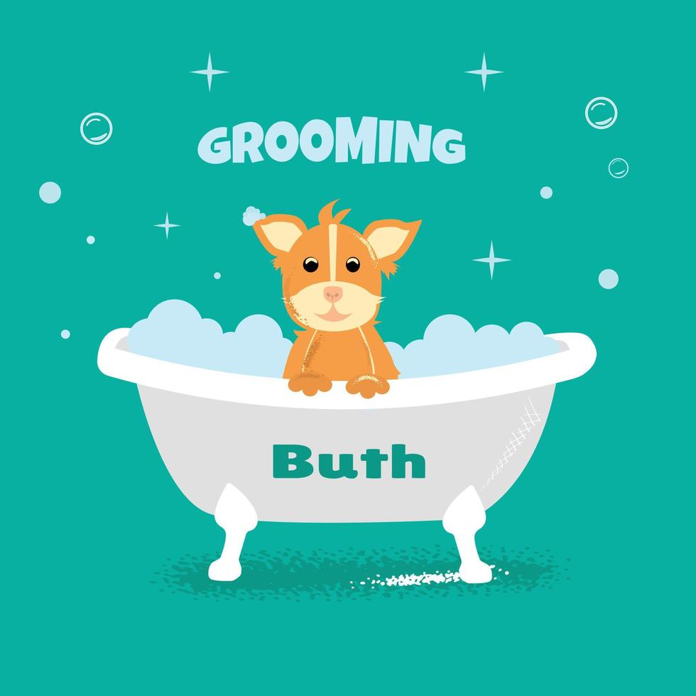 Grooming, pet shop vector