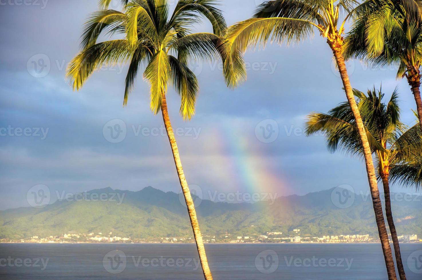 Morning photo of hotel with palm trees and swimming pool on Mexican beaches with copyspace
