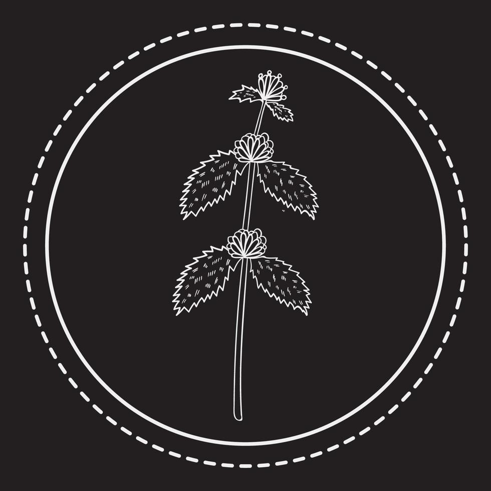 bitter herbs p 1 logo 1 vector