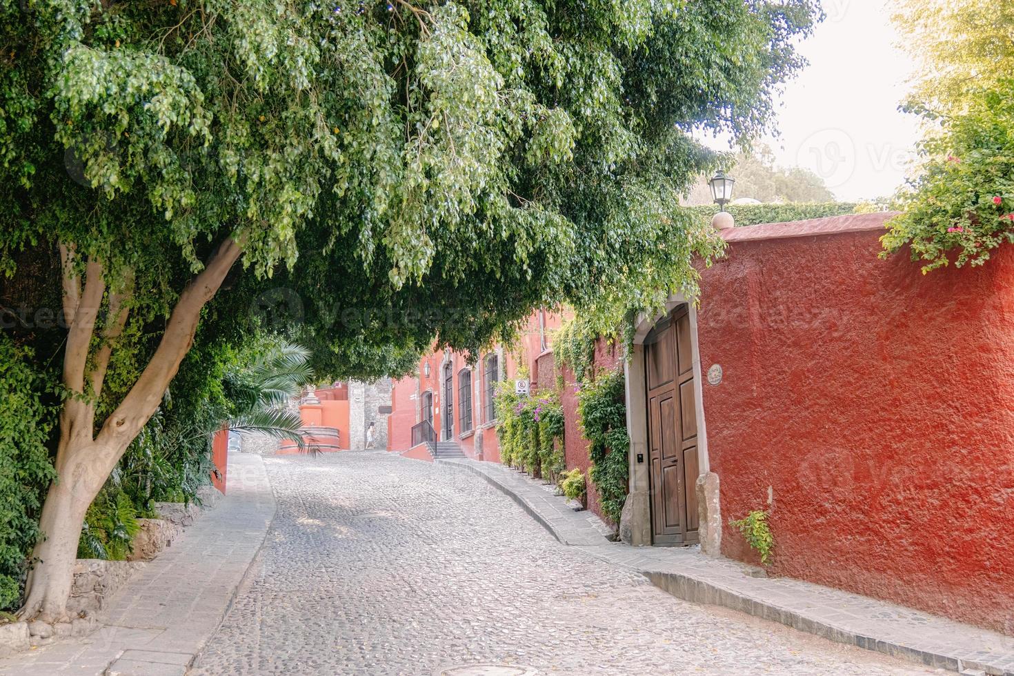 calle de san miguel y allende guanajuato foto